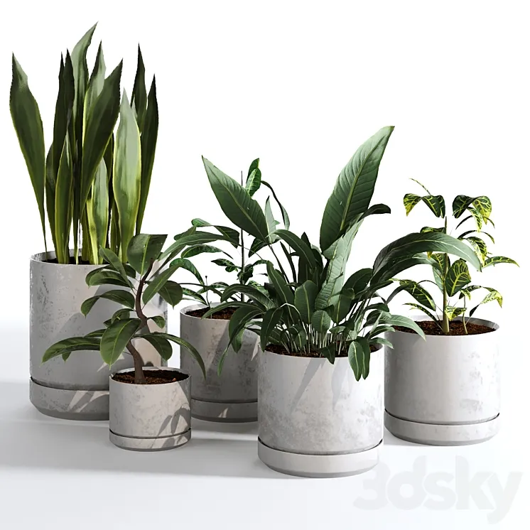 Indoor Plants Collection – Set 03 3DS Max