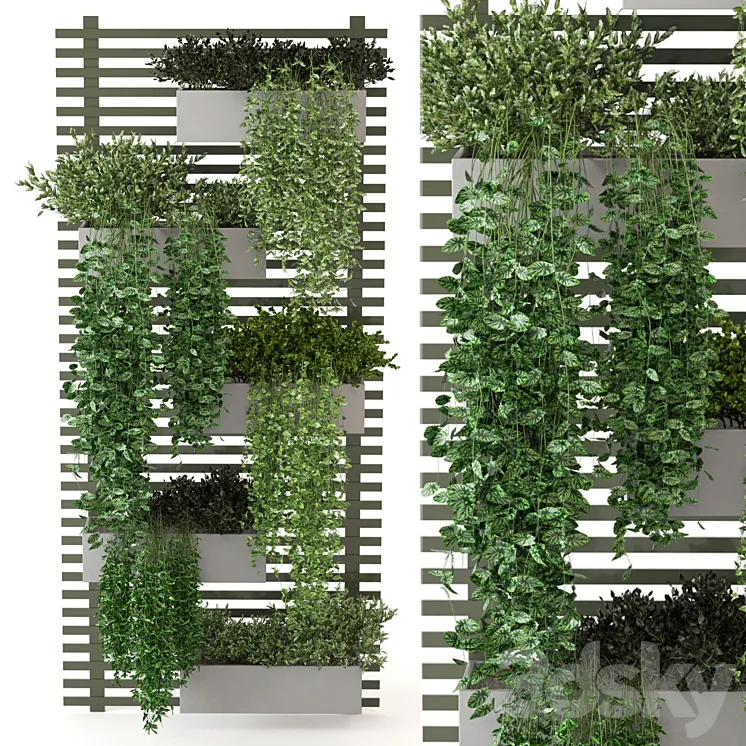 Indoor Plants Collection – Set 393 3DS Max Model