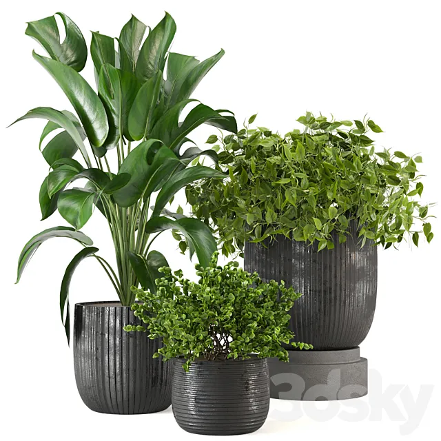 Indoor Plants Collection – Set 409 3ds Max