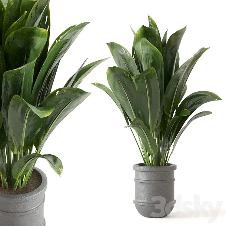 Indoor Plants Collection – Set 412 3DS Max