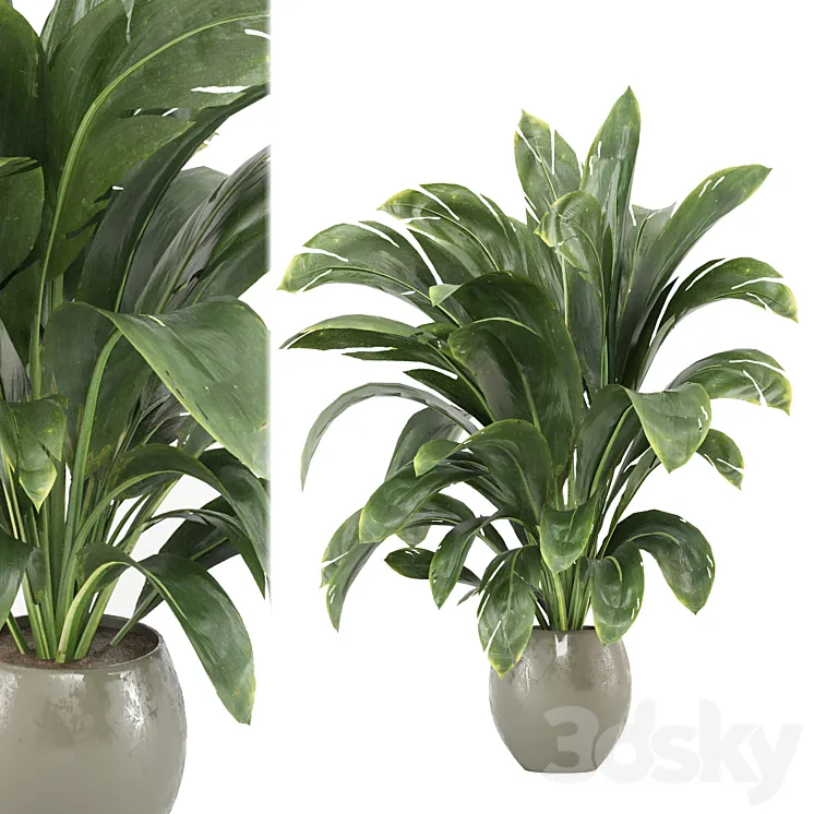 indoor Plants Collection – Set 586 3DS Max Model