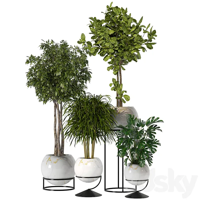 Indoor Plants Collection Set 89 3dsMax Model