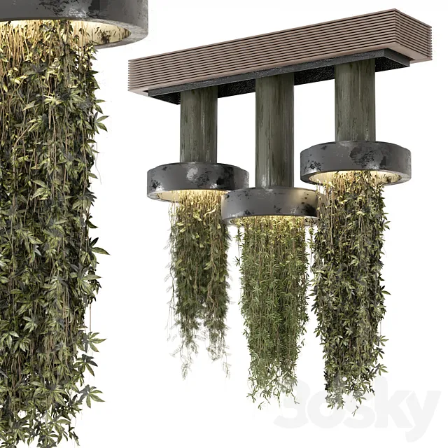 indoor Plants Collection set_12 hanging65 3ds Max