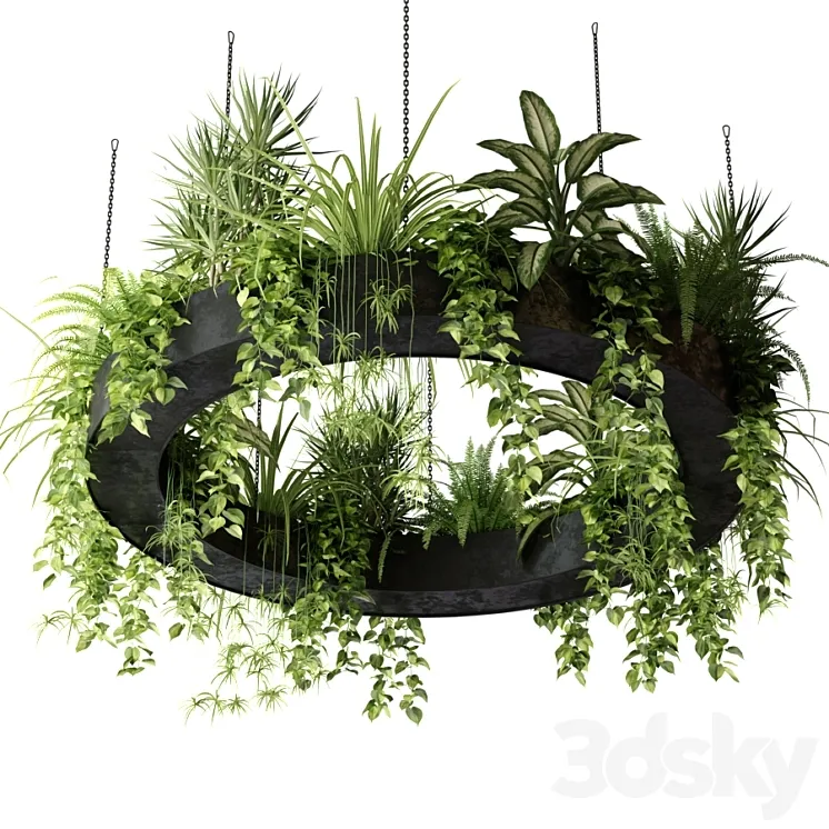 Indoor plants in a hanging ring planter 3DS Max