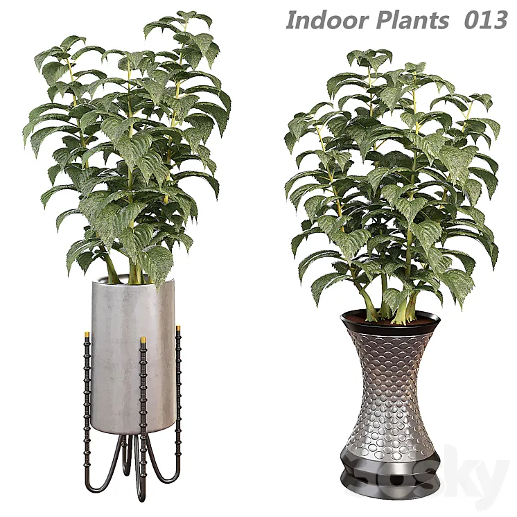 Indoor plants in a pot 013 3DS Max