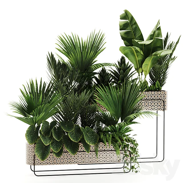 Indoor plants in box set-70 3DS Max Model