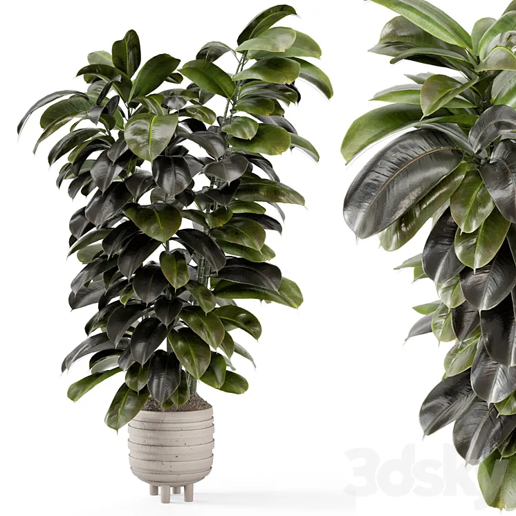 Indoor Plants In Concrete Pots – Set 953 3DS Max Model
