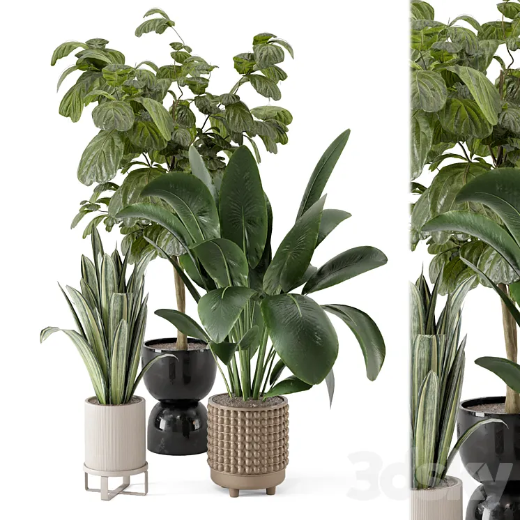 Indoor Plants in Ferm Living Bau Pot Large – Set 1044 3DS Max Model