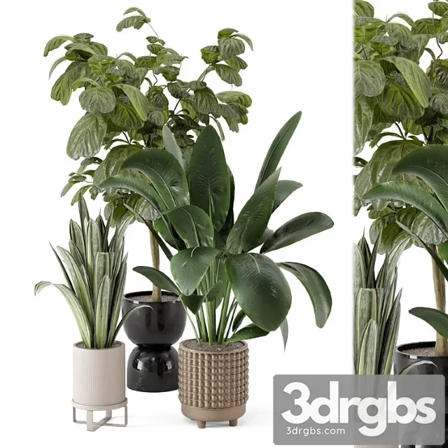 Indoor plants in ferm living bau pot large – set 1044