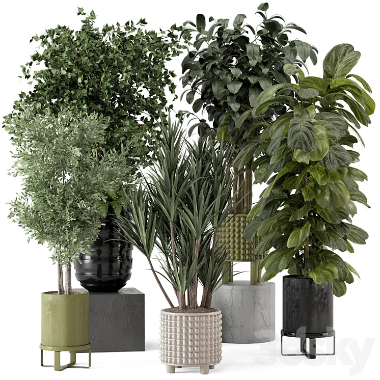 Indoor Plants in Ferm Living Bau Pot Large – Set 1053 3DS Max Model