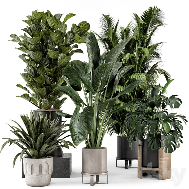 Indoor Plants in Ferm Living Bau Pot Large – Set 1188 3DS Max Model