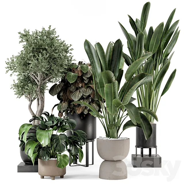 Indoor Plants in Ferm Living Bau Pot Large – Set 1204 3DS Max Model