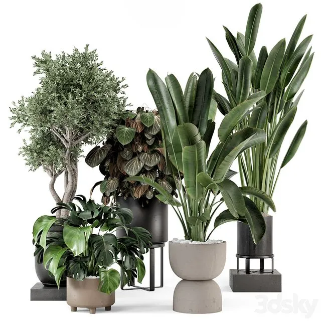 Indoor Plants in Ferm Living Bau Pot Large – Set 1204 3dsMax Model