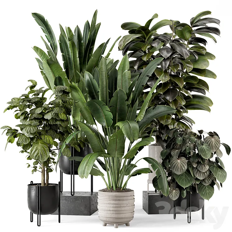 Indoor Plants in Ferm Living Bau Pot Large – Set 1208 3DS Max