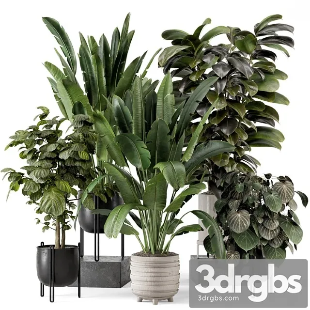 Indoor plants in ferm living bau pot large – set 1208