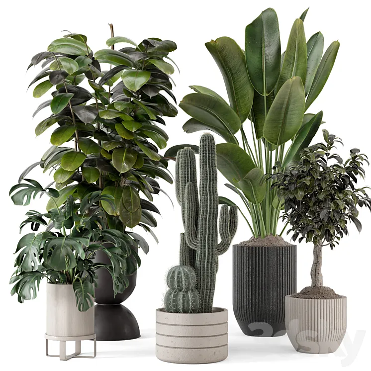 Indoor Plants in Ferm Living Bau Pot Large – Set 1220 3DS Max