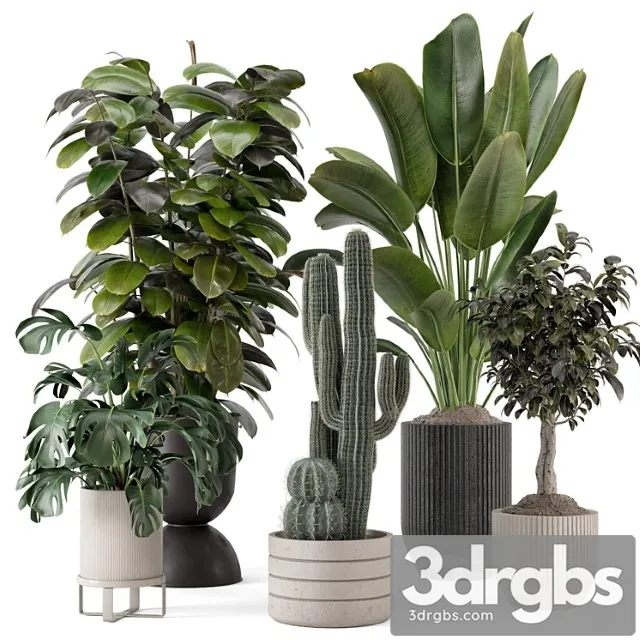 Indoor plants in ferm living bau pot large – set 1220