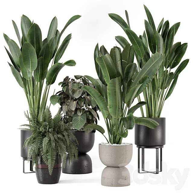 Indoor Plants in Ferm Living Bau Pot Large – Set 1256 3DS Max Model