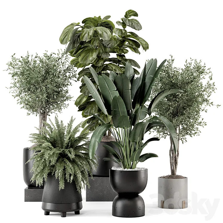 Indoor Plants in Ferm Living Bau Pot Large – Set 1277 3DS Max Model