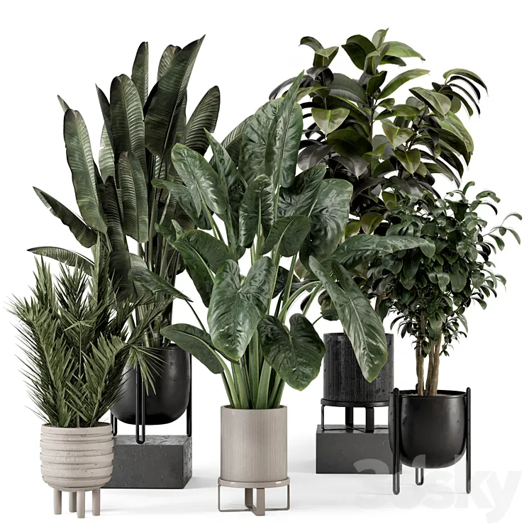 Indoor Plants in Ferm Living Bau Pot Large – Set 1292 3DS Max Model