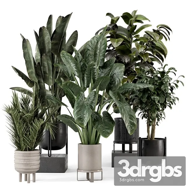 Indoor plants in ferm living bau pot large – set 1292