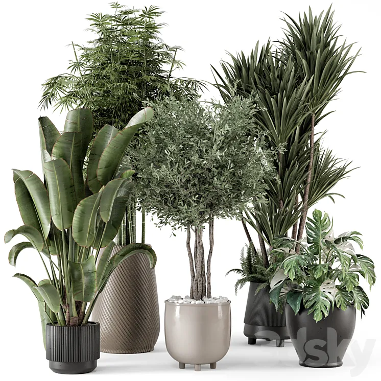 Indoor Plants in Ferm Living Bau Pot Large – Set 1325 3DS Max Model