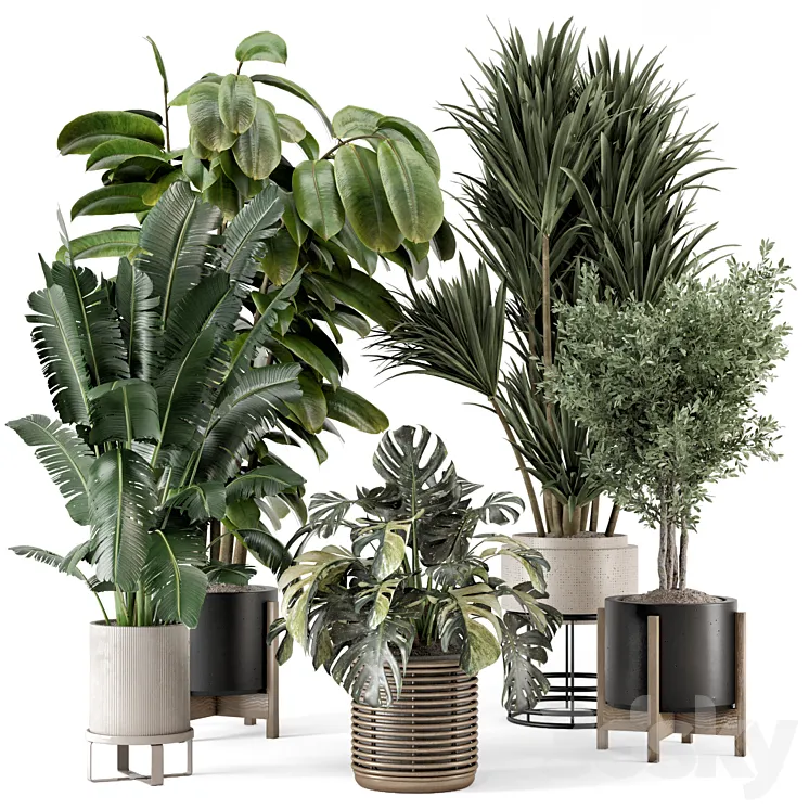 Indoor Plants in Ferm Living Bau Pot Large – Set 1328 3DS Max Model