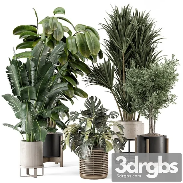 Indoor plants in ferm living bau pot large – set 1328