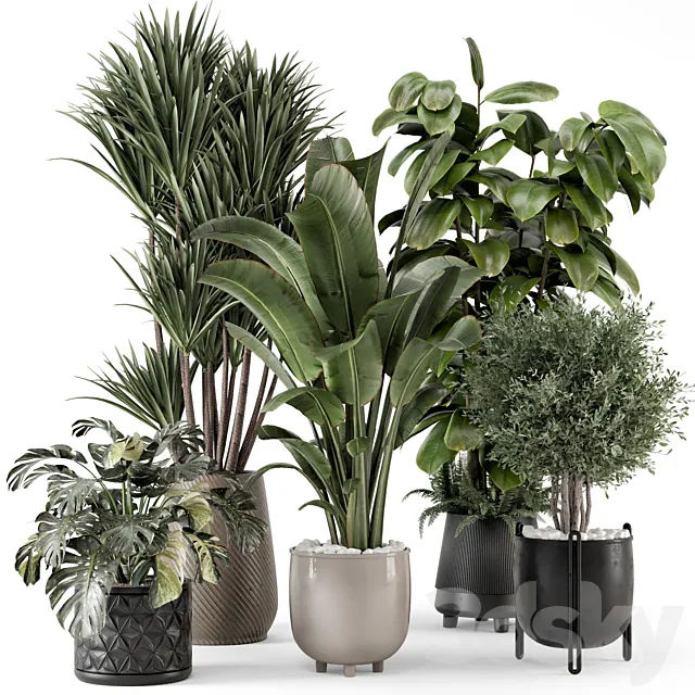 Indoor Plants in Ferm Living Bau Pot Large – Set 1343 3ds Max