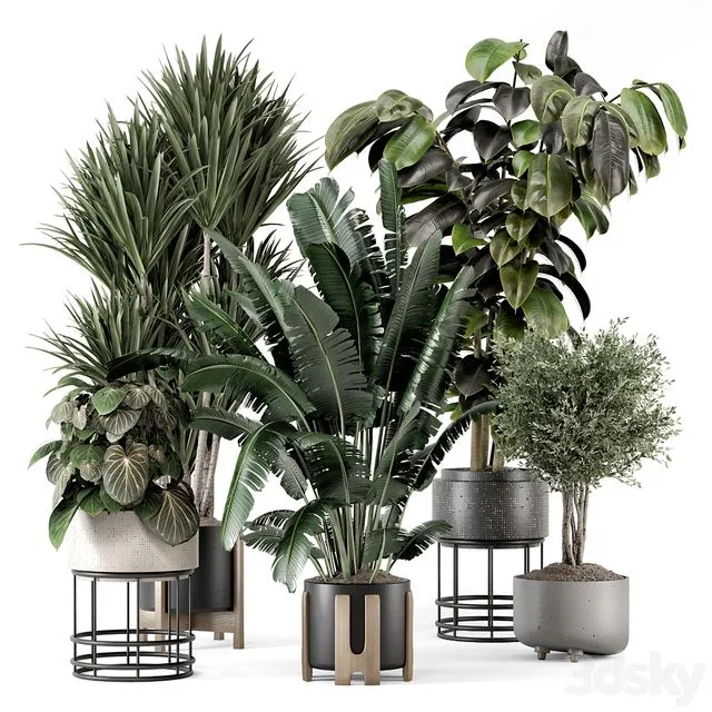 Indoor Plants in Ferm Living Bau Pot Large – Set 1351 3dsMax Model