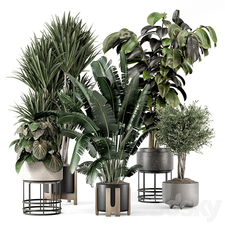 Indoor Plants in Ferm Living Bau Pot Large – Set 1351 3DS Max Model