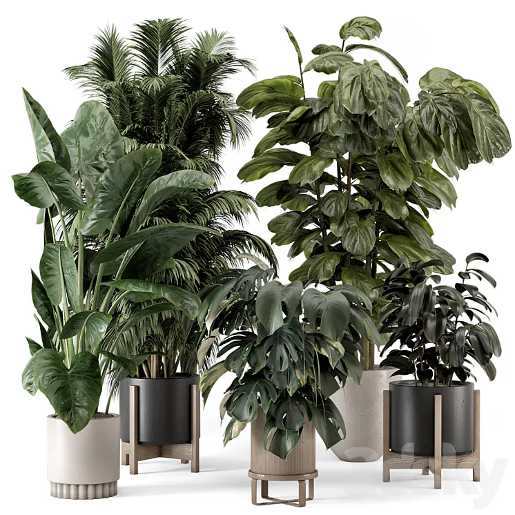 Indoor Plants in Ferm Living Bau Pot Large – Set 1361 3DS Max Model