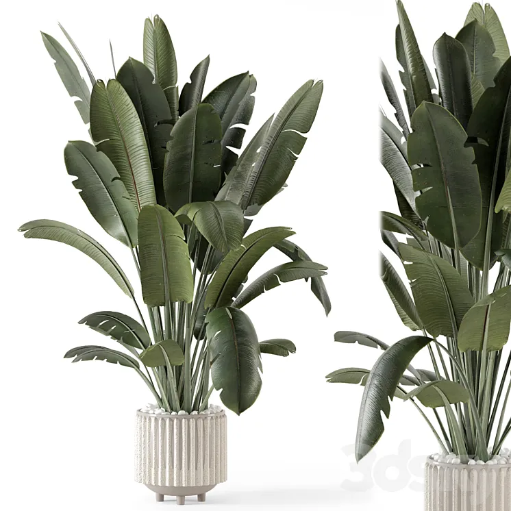 Indoor Plants in Ferm Living Bau Pot Large – Set 1448 3DS Max Model
