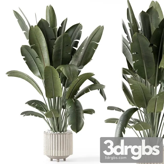 Indoor plants in ferm living bau pot large – set 1448