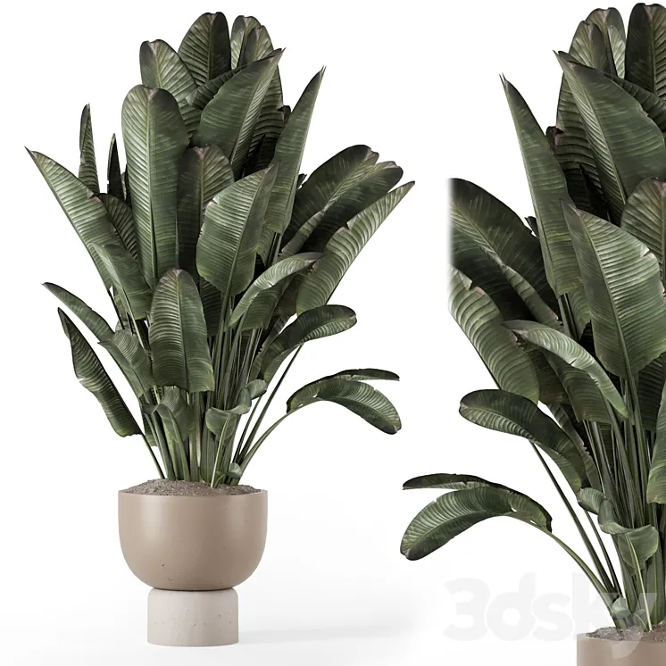 Indoor Plants in Ferm Living Bau Pot Large – Set 1507 3DS Max Model