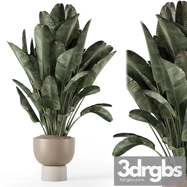 Indoor plants in ferm living bau pot large – set 1507