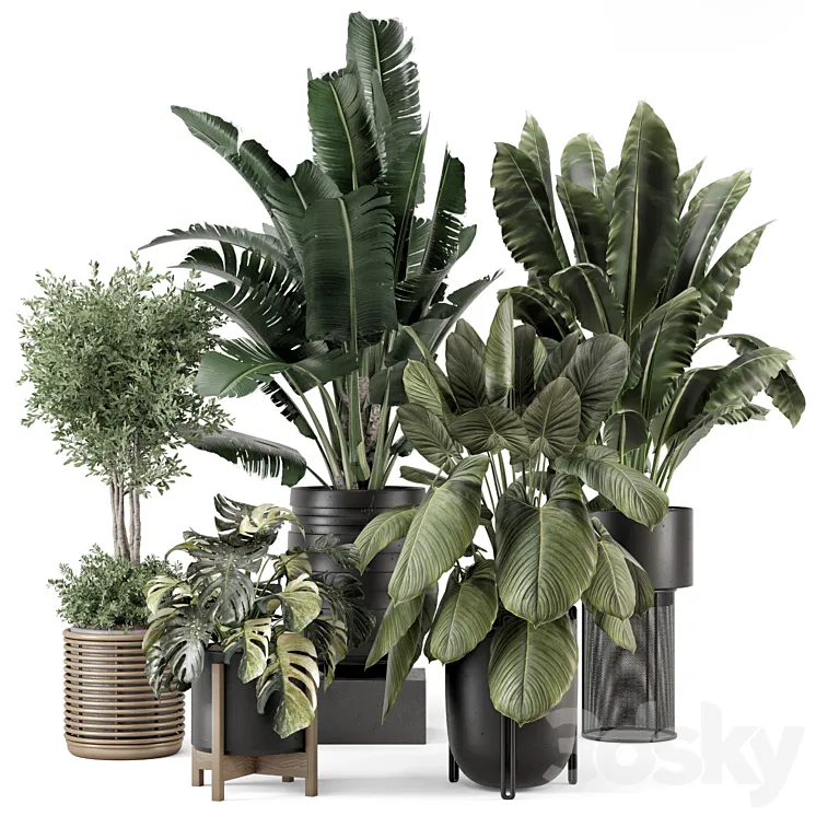 Indoor Plants in Ferm Living Bau Pot Large – Set 1665 3DS Max Model