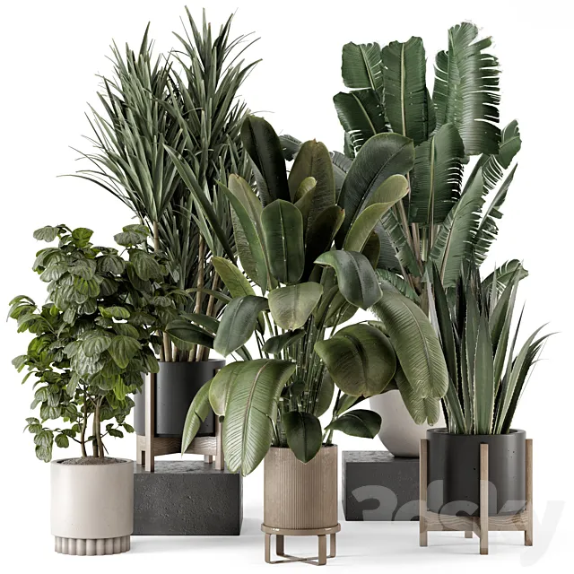 Indoor Plants in Ferm Living Bau Pot Large – Set 1782 3ds Max