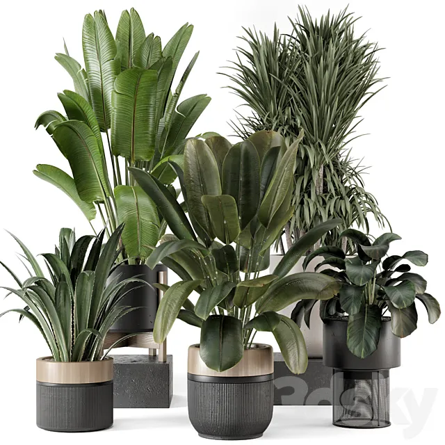 Indoor Plants in Ferm Living Bau Pot Large – Set 1947 3DS Max Model