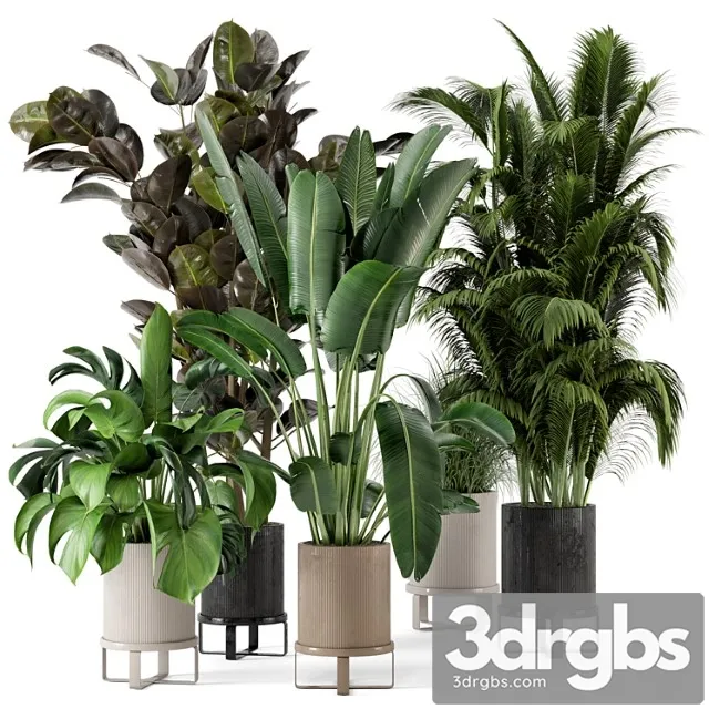 Indoor plants in ferm living bau pot large – set 206