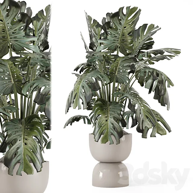 Indoor Plants in Ferm Living Bau Pot Large – Set 2160 3ds Max