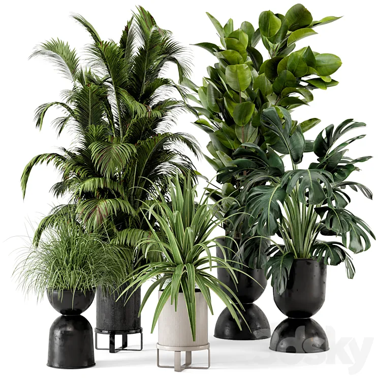 Indoor Plants in Ferm Living Bau Pot Large – Set 220 3DS Max