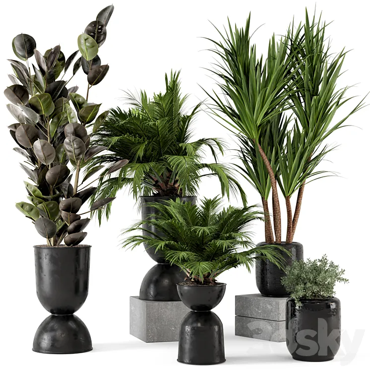 Indoor Plants in Ferm Living Bau Pot Large – Set 226 3DS Max