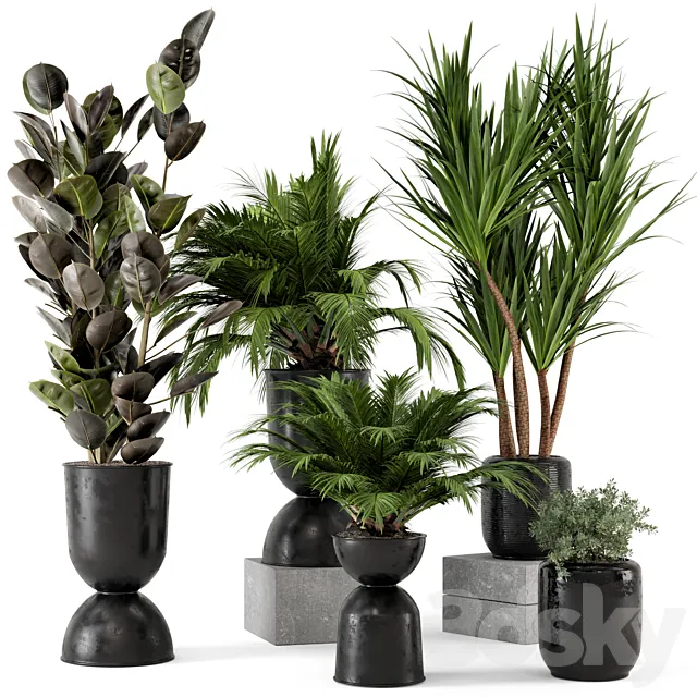 Indoor Plants in Ferm Living Bau Pot Large – Set 226 3DSMax File