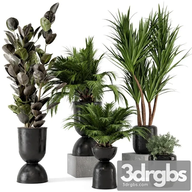 Indoor plants in ferm living bau pot large – set 226