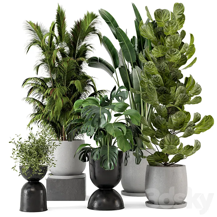 Indoor Plants in Ferm Living Bau Pot Large – Set 230 3DS Max Model