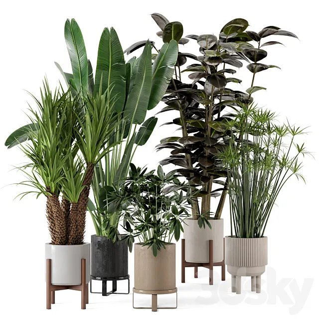 Indoor Plants in Ferm Living Bau Pot Large – Set 235 3ds Max