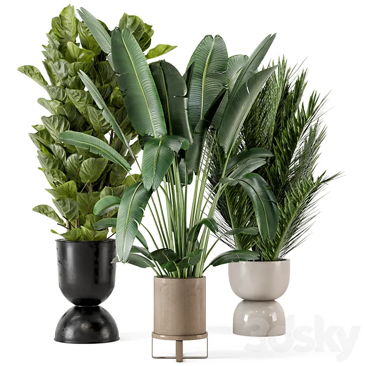 Indoor Plants in Ferm Living Bau Pot Large – Set 273 3DS Max Model
