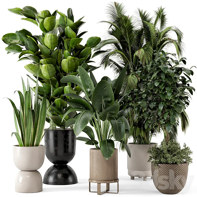 Indoor Plants in Ferm Living Bau Pot Large – Set 290 3DS Max Model