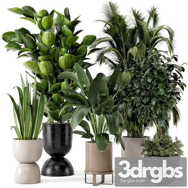 Indoor plants in ferm living bau pot large – set 290
